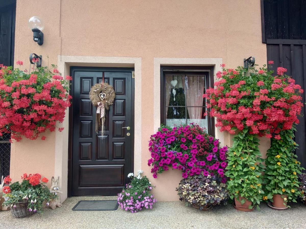 Apartmány Adršpach u Kozárů Teplice nad Metují Exterior foto